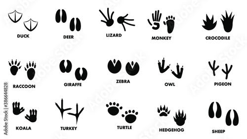 Set Abstract Collection Black Footprints Wild Animals Vector Design Style Illustration