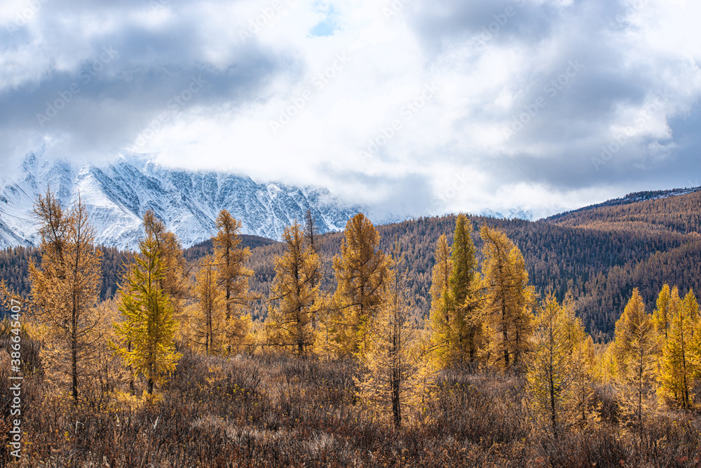 panoramic view of picturesque snowy mountains tops panoramic view of picturesque snowy mountains tops