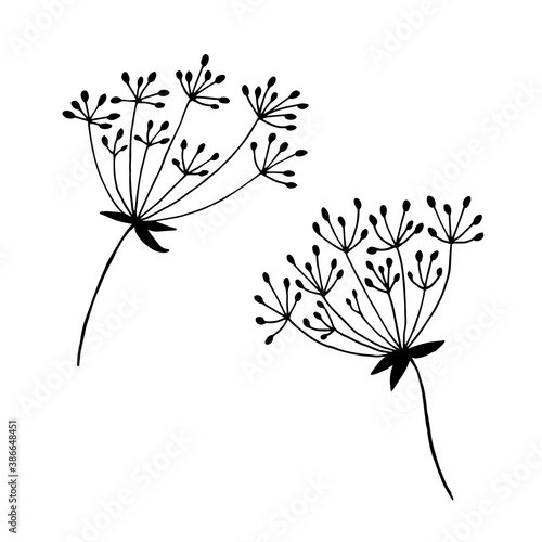 Two dill umbrella. Vector hand drawn doodle illustration. Black and white silhouette