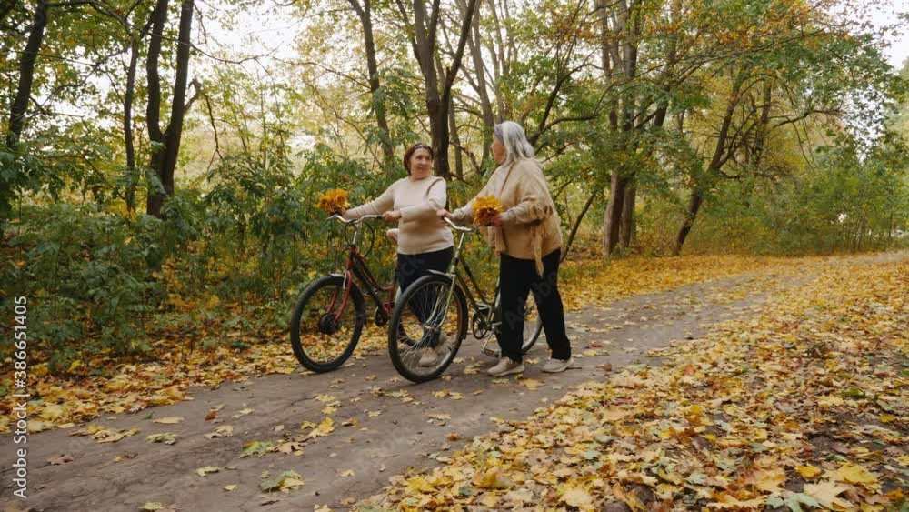 Couple of happy senior women with bouquets of autumn leaves in their hands and holding bicycles are walking in the park in nature Couple of happy senior women with bouquets of autumn leaves in their hands and holding bicycles are walking in the park in nature