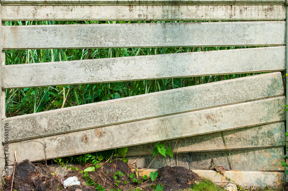 The cement wall was broken to see a green forest.