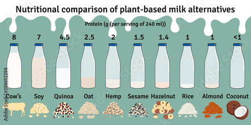 Set of bottles with plant-based milk. Vegan milk protein infographic