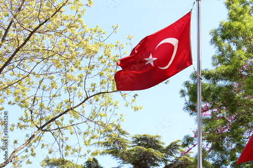 turkish flag in the park