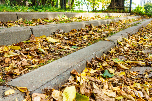 Close up view onto fallen yellow leaves near street steps