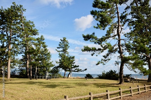 海
