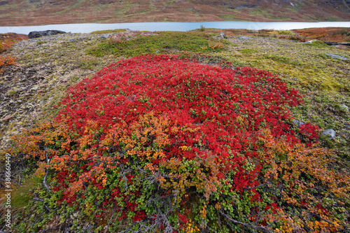 Mountain landscape in autumn colours photo