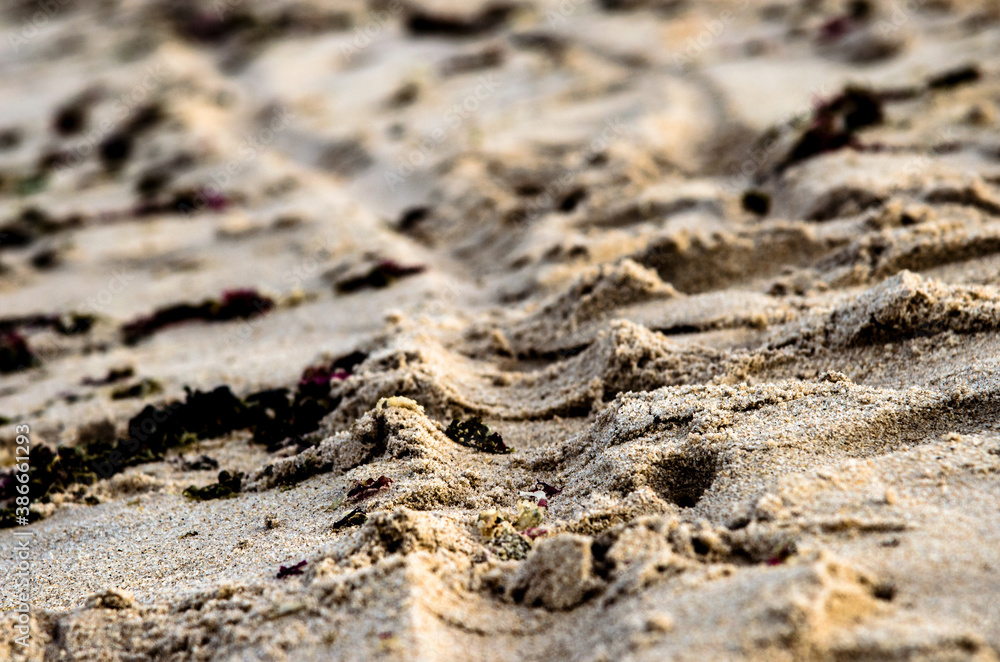 tire tracks in sand tire tracks in sand