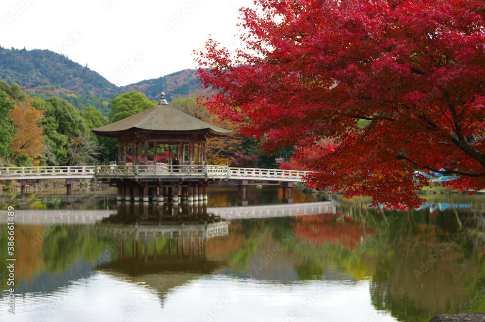奈良公園浮御堂の紅葉