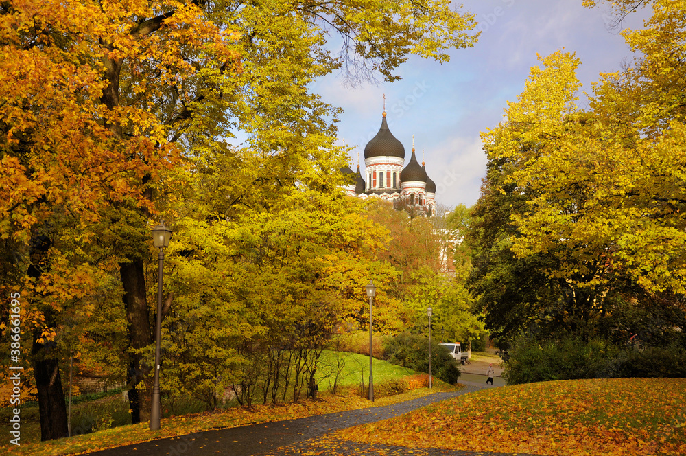 autumn in the park Tallinn