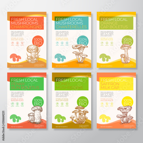 Fresh Local Mushrooms Label Templates Collection. Abstract Vector Packaging Design Layouts Set. Modern Typography Banners with Hand Drawn Chanterelles, Champignons, Boletus, etc. Sketch Backgrounds
