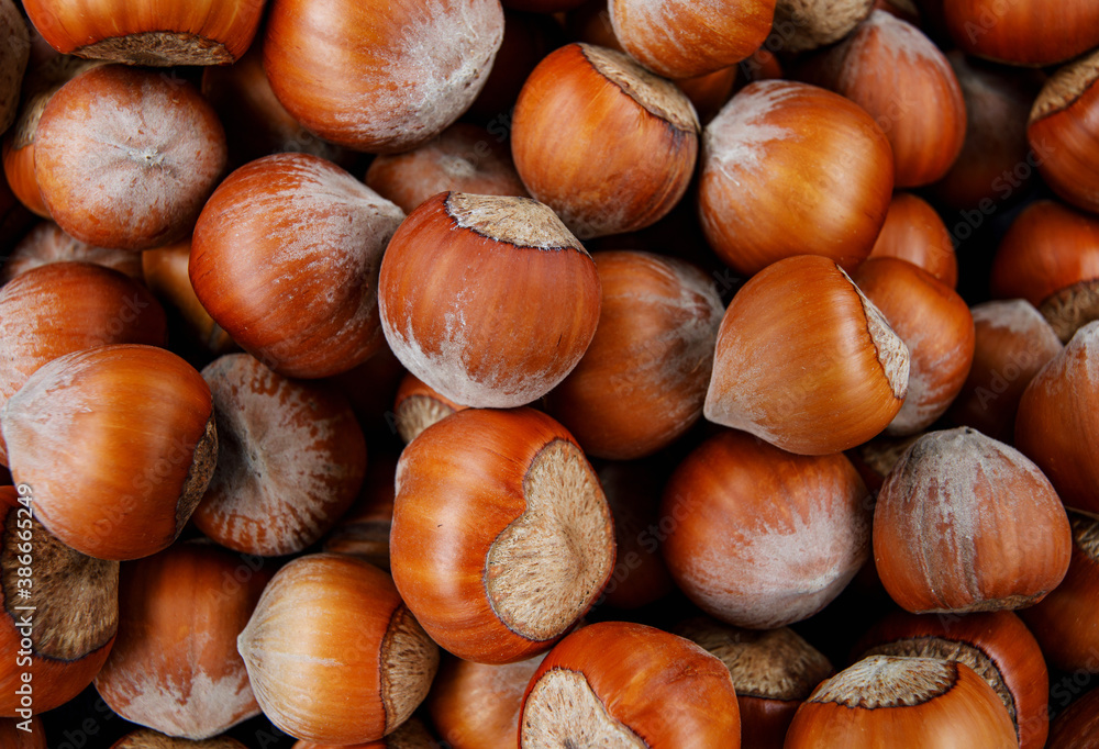 Hazelnut background. Whole ripe hazelnuts. Hazelnut background. Whole ripe hazelnuts.