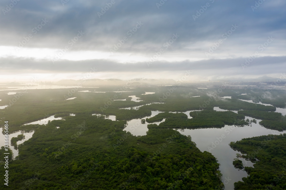 mangrove in Cubatao, Sao Paulo, Brazil, seen from above