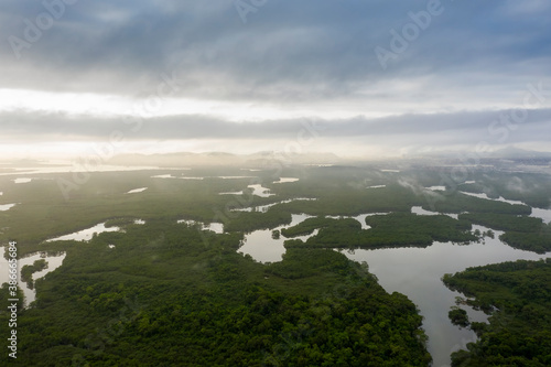 mangrove in Cubatao, Sao Paulo, Brazil, seen from above