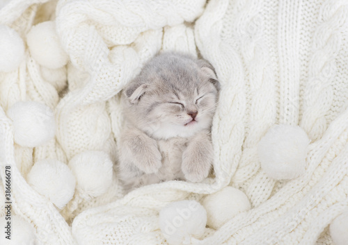 A small purple kitten is lying on a white knitted background and sleeping. Postcard for the holiday concept.