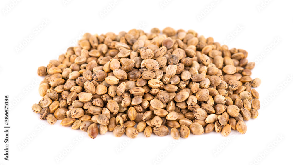 Hemp seeds isolated on white background. Dry seeds of cannabis, hemp or marijuana. Hemp seeds isolated on white background. Dry seeds of cannabis, hemp or marijuana.