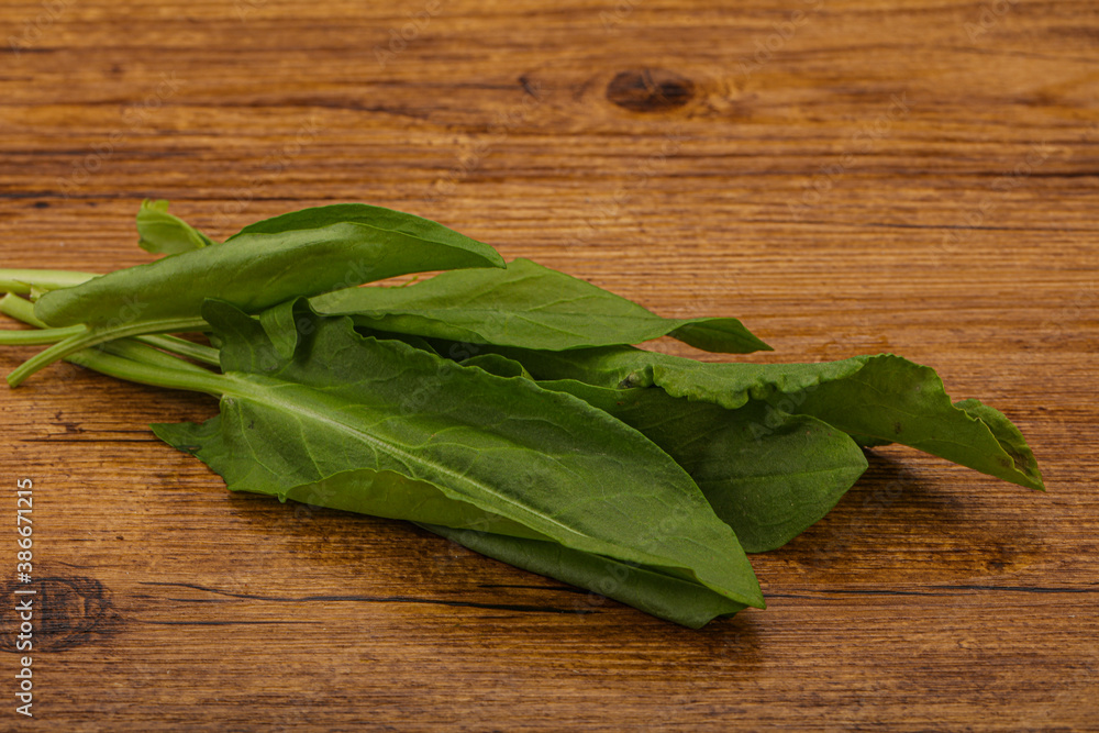 Aroma Fresh green sorrel heap Aroma Fresh green sorrel heap