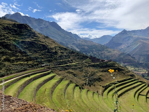 Green grass terrace incas fields on hilltop in Sacred Valley Urubamba  Pisac  Peru. Idyllic summer countryside landscaped nature in Andes mountains.