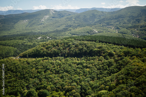 green landscape