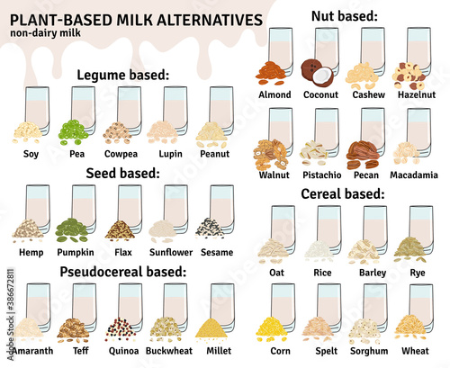 Set of glasses with plant-based milk. Vegan milk types infographic