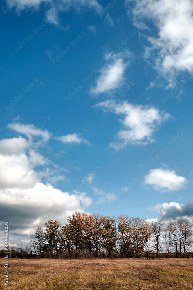 Obraz premium Autumn landscape, field, the sky is covered with clouds, rays of light