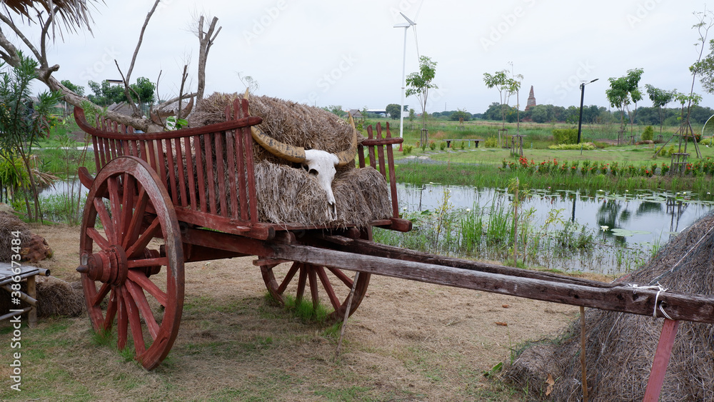 Old wooden Rice milling machine in the field
