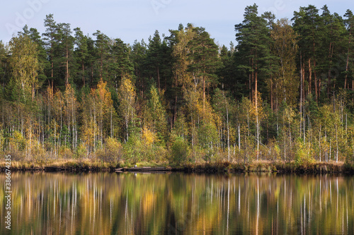 Autumn forest behind the lake. Trees are reflected in a calm water.