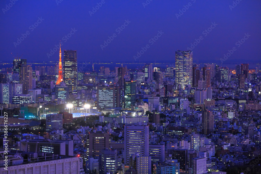 東京タワーとビル群夜景