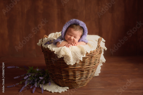 Funny newborn sleeping in basket. Adorable sleeping newborn baby  


