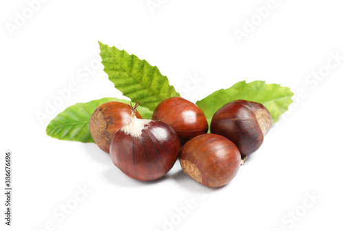 Fresh sweet edible chestnuts with green leaves on white background