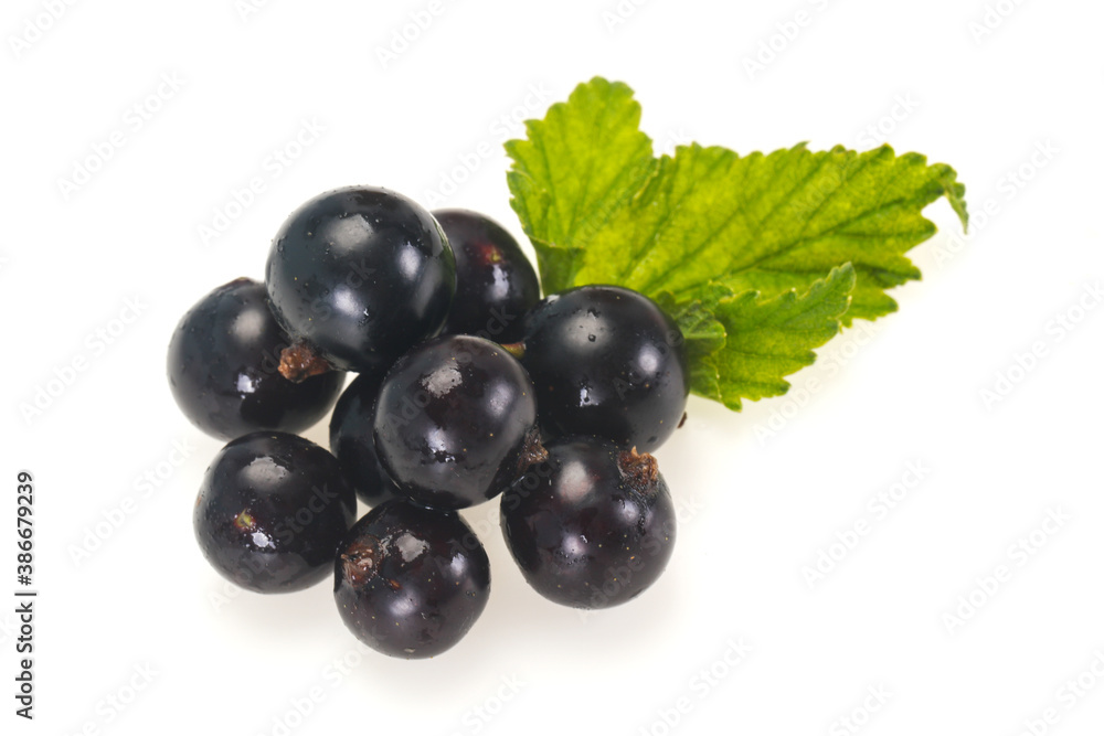 Fresh ripe sweet black currant Fresh ripe sweet black currant