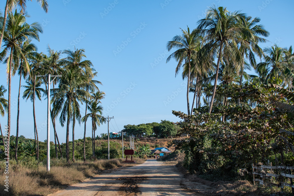 An empty dirt road leading towards two buildings north of Chaung Thar, Irrawaddy, Myanmar
