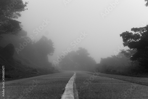 Mountain road in fog
