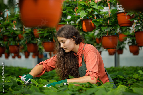 Cropped portrait of young female gardener in the sunny greenhouse