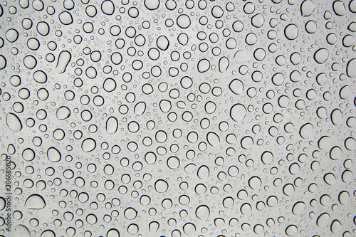 Drops Bubbles of Water on bright white background, Generic View of Water pearls