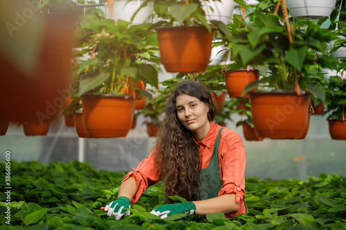 Cropped portrait of young female gardener in the sunny greenhouse