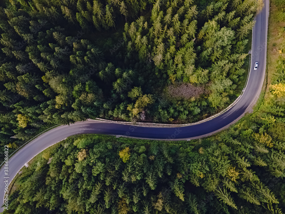 Aerial top view of curvy mountain road goingthroughthe pine forest. Stock  Photo | Adobe Stock