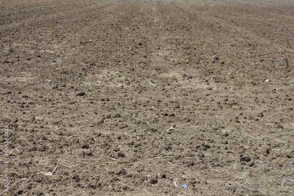 Plowed Field by Morning Plowed Field by Morning