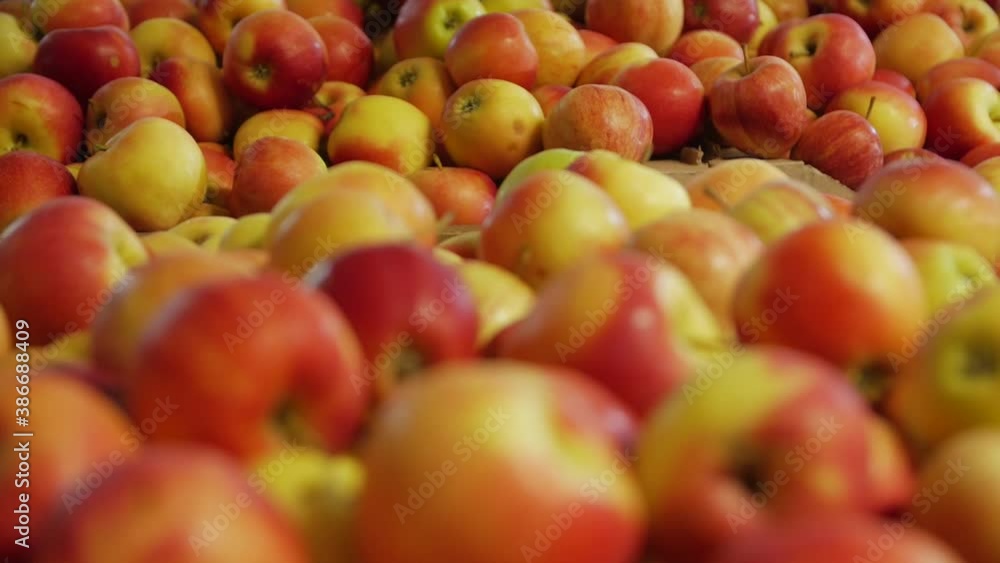 Shelves with apples red yellow fruit shop camera movement closeup background Shelves with apples red yellow fruit shop camera movement closeup background