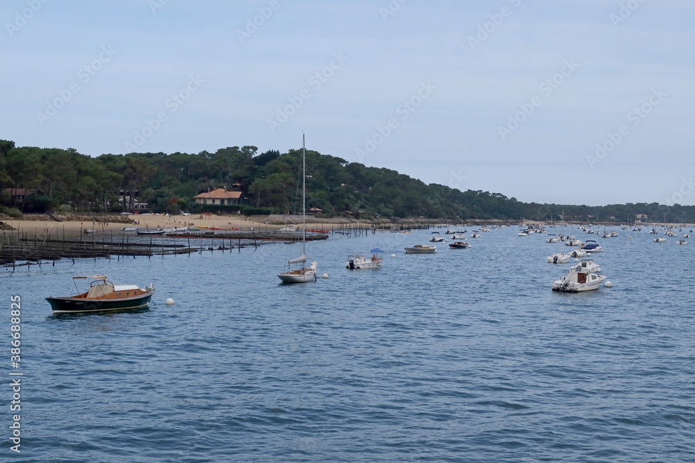 Cap Ferret