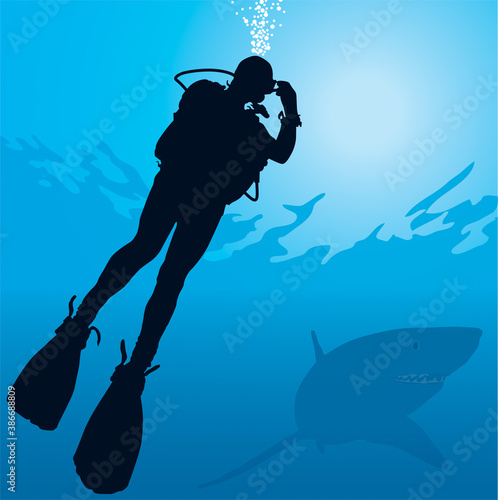 Plongée sous-marine - Rencontre d'un requin