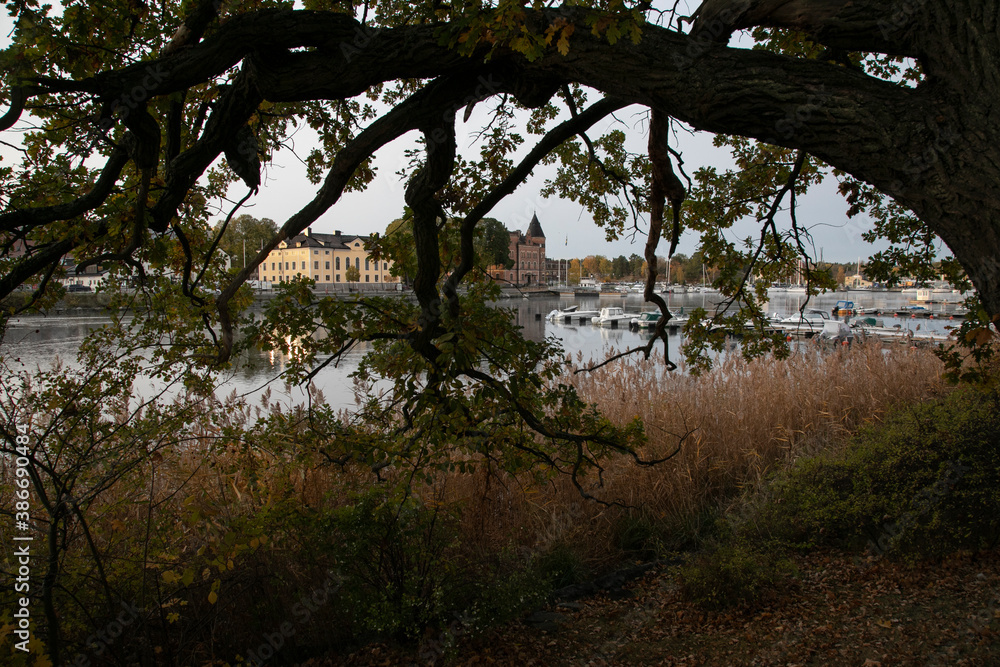 
View through the foliage of an autumn tree to the lake and the embankment