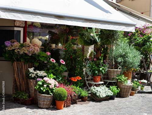 flower shop, summer