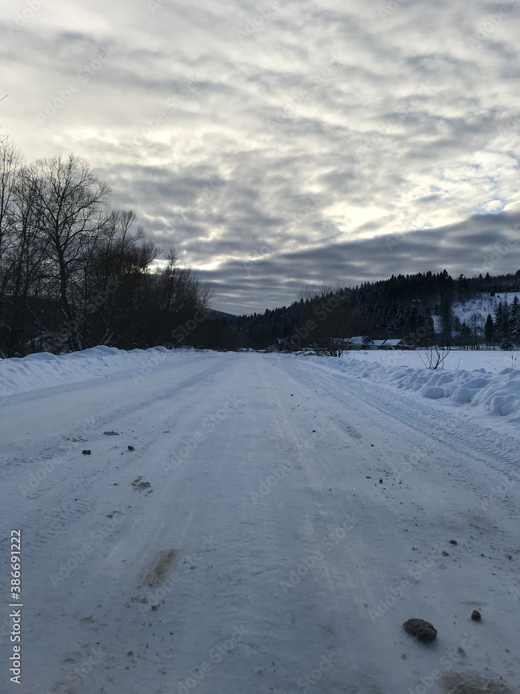 Obraz premium snow covered trees