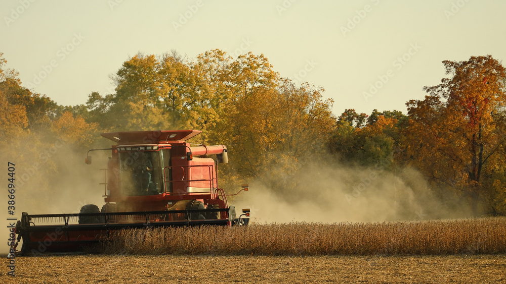 Front view of farmer using a re combine to harvest soybeans in a dusty field in late afternoon in the Midwest; USA Front view of farmer using a re combine to harvest soybeans in a dusty field in late afternoon in the Midwest; USA