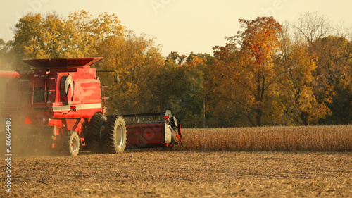 Rear view of red combine as it harvests beans in late afternoon in the Midwest USA; low angle view