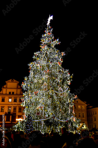 Christmas Tree at the Prague Christmas Market.