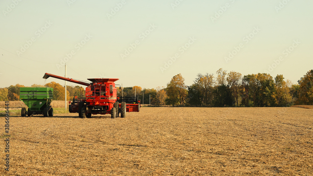 Fototapeta premium Red combine unloading soybeans into green grain wagon; copy space