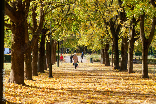 A family walks in the beautiful autumn public park. Kids and their grandmother.