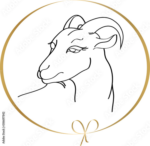 Handdrawn goat in round golden frame isolated on a white background. Linear silhouette. Vector illustration. Emblem organic farmer cheese, milk or meat