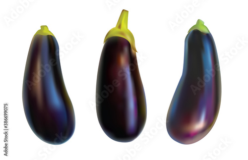 Aubergine vegetable, purple eggplant isolated on white background. Realistic image of a brinjal. 